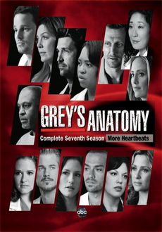 "Grey's Anatomy" [S07] DVDRip.XviD-REWARD