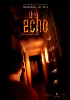 "The Echo" (2008) OM.DVDRip.x264-ARiES