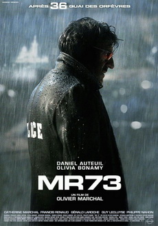 "MR 73" (2008) PL.DVDRip.XviD-KiCZ