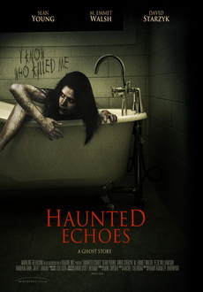 "Haunted Echoes" (2008) DVDRip.XviD-VoMiT