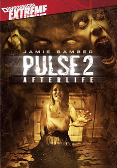 "Pulse 2" (2008) PL.DVDRip.XviD-PSiG