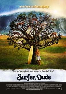 "Surfer, Dude" (2008) PL.DVDRiP.XViD-ER