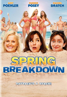 "Spring Breakdown" (2009) XviD.DVDRip-DiVERSE