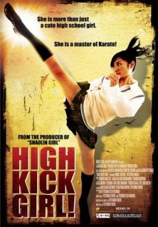 "High Kick Girl" (2009) DVDRip.XviD-VoMiT