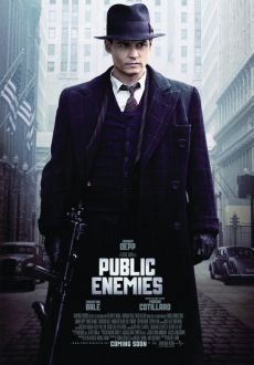 "Public Enemies" (2009) PL.DVDRip.XviD-WPRF