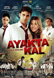 "Ayakta Kal" (2009) DVDRip.XviD-Ltu