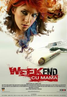 "Weekend With My Mother" (2009) DVDRip.XviD-DOMiNO