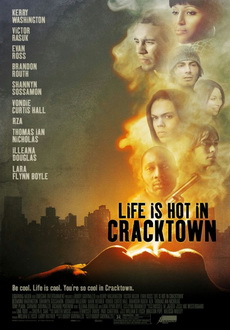 "Life Is Hot In Cracktown" (2009) LiMiTED.DVDRip.XviD-BULLDOZER