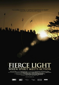 "Fierce Light: When Spirit Meets Action" (2008) DVDRip.XViD-TWiST