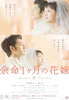 "April Bride" (2009) DVDRip.XviD-GiNJi