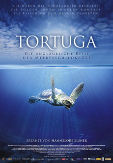 "Turtle: The Incredible Journey" (2009) PROPER.DVDRip.XviD-VoMiT