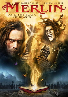 "Merlin And The Book Of Beasts" (2009) PL.DVDRip.XViD-SECTOR9
