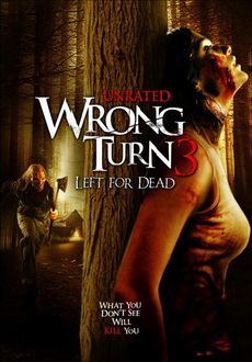 "Wrong Turn 3: Left for Dead" (2009) STV.DVDRip.XviD-GFW