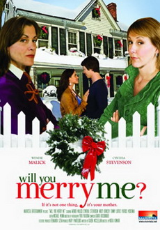 "Will You Merry Me" (2008) DVDRip.XviD-aAF