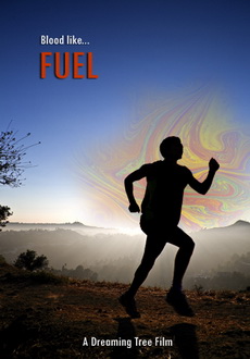 "Fuel" (2009)  LIMITED.DVDRip.XviD-SUBMERGE