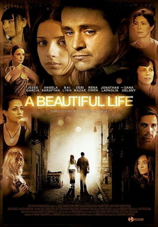 "A Beautiful Life" (2008) DVDRip.XviD-IGUANA