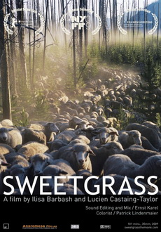 "Sweetgrass" (2009) LIMITED.DVDRip.XviD-SUBMERGE