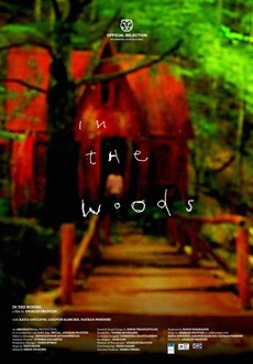 "In the Woods" (2010) DVDRip.x264-IcHoR