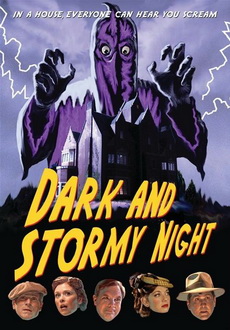 "Dark and Stormy Night" (2009) DVDRip.XviD-VoMiT