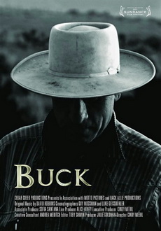 "Buck" (2011) LIMITED.DOCU.DVDRip.XviD-PSYCHD