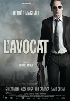 "L'avocat" (2010) PL.480p.BRRip.XviD.AC3-inTGrity