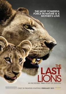 "The Last Lions" (2011) LIMITED.BDRip.XviD-IGUANA