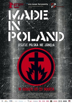 "Made in Poland" (2011) PL.DVDRiP.XViD-PSiG
