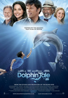 "Dolphin Tale" (2011) PL.DVDRip.XViD-PSiG