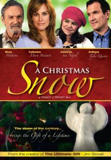 "A Christmas Snow" (2010) DVDRip.XviD-RedBlade