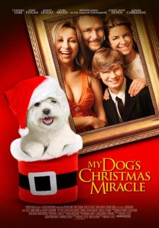 "My Dogs Christmas Miracle" (2011) DVDRip.XviD-aAF