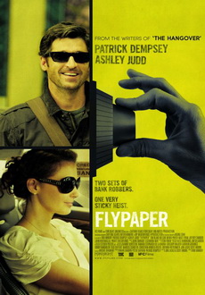 "Flypaper" (2011) R5.XviD-playXD