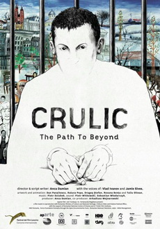 "Crulic - The Path to Beyond" (2011) PL.DVDRip.XviD-BFHMOV