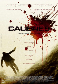 "Calibre 9" (2011) FRENCH.DVDRip.XviD-TMB