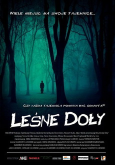 "Leśne Doły" (2011) PL.HDTV.XViD-PSiG