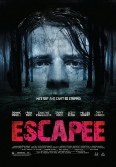 "Escapee" (2011) DVDRip.XviD-NOSCREENS