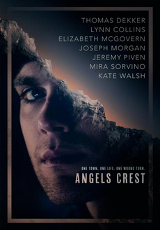 "Angels Crest" (2011) DVDSCR.XviD-FTW