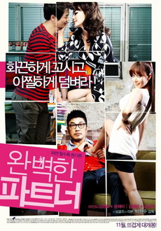 "Perfect Partner" (2011) DVDRip.XviD-BeFRee