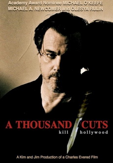 "A Thousand Cuts" (2012) DVDRip.XviD-VoMiT