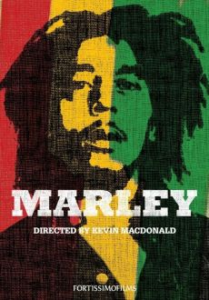 "Marley" (2012) PL.480p.BRRip.XviD.AC3-inTGrity