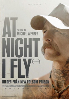 "At Night I Fly" (2011) DOCU.DVDRip.XviD-KAFFEREP