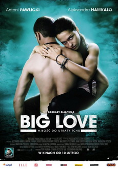 "Big Love" (2012) DVDRip.XviD-SML
