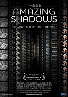 "These Amazing Shadows" (2011) DVDRip.XviD-SPRiNTER