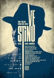 "Ve stínu" (2012) PL.480p.BRRip.XviD.AC3-sav