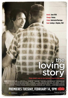 "The Loving Story" (2011) DVDRip.x264-BiQ