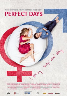 "Perfect Days" (2011) PL.DVDRip.XviD-PSiG