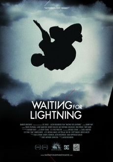 "Waiting for Lightning" (2012) WEBRip.XviD.AC3-QRIUS