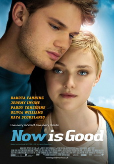 "Now is Good" (2012) LIMITED.DVDRip.XviD-MARGiN