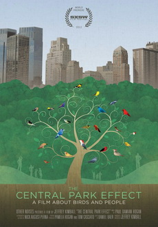 "Birders: The Central Park Effect" (2012) DVDRip.XviD-LPD