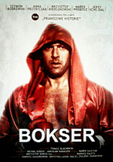 "Bokser" (2011) PL.PDTV.XViD-PSiG