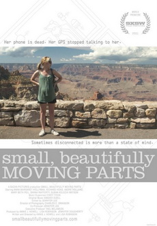 "Beautifully Moving Parts Small" (2011) LiMiTED.DVDRip.XviD-LPD